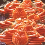 ずわい蟹